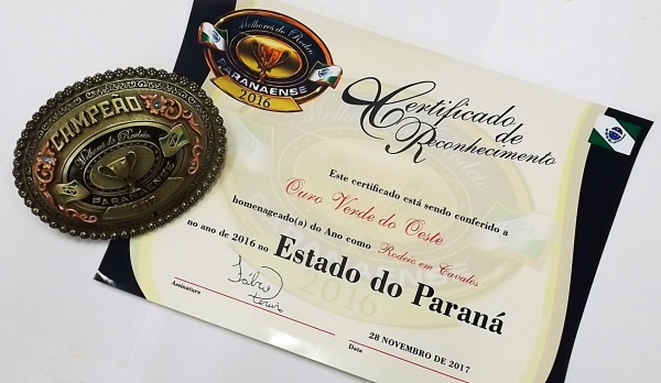 Rodeio em Cavalos de Ouro Verde do Oeste recebe premiação